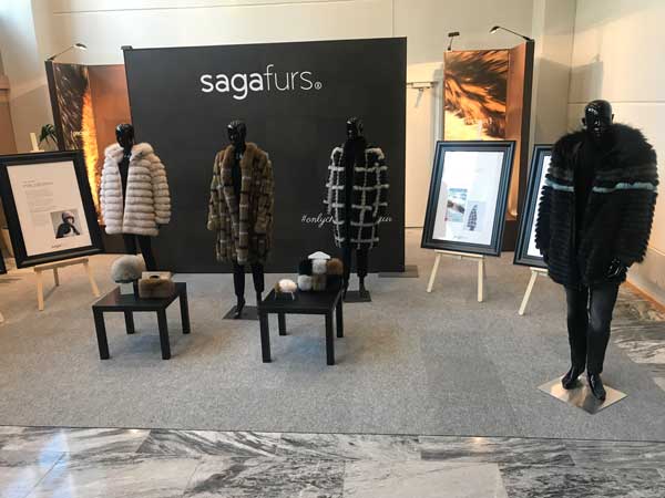 Saga Furs: Αναβάλλεται για την 1 Απριλίου η δημοπρασία Μαρτίου λόγω της επιδημίας του κορωνοϊού