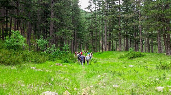 Greek Adventure: Στηρίζουμε τις θέσεις του κ. Πάτση σχετικά με την φιλοξενία προσφύγων σε ξενοδοχεία της περιοχής