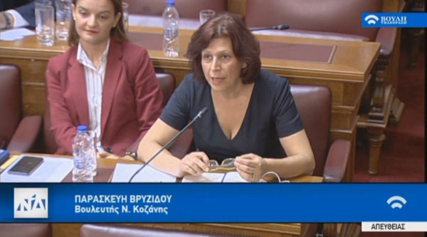 Η εισήγηση της Βίκυς  Βρυζίδου για τη δωρεά του ιδρύματος “Σταύρος  Νιάρχος”
