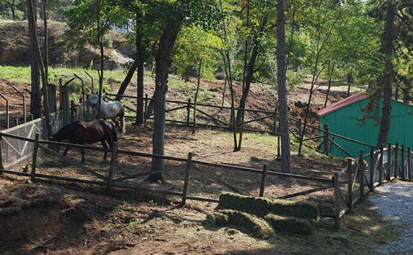 Ανοίγει και πάλι ο Ζωολογικός Κήπος Φλώρινας