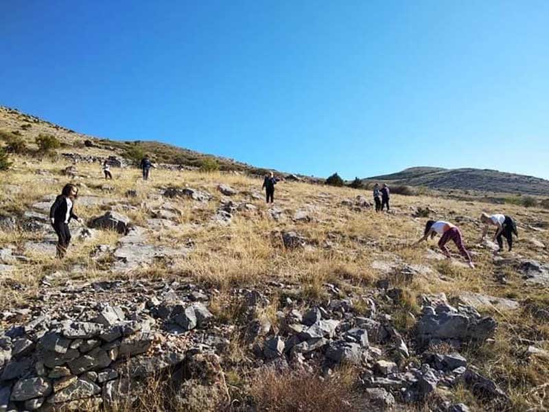 Εορδαία: Στην Ερμακιά φύτεψαν δυόμισι χιλιάδες σπόρους από βελανίδια