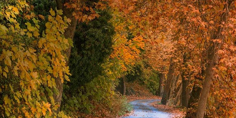 Η φωτογραφία της ημέρας: Καστοριά, lakeside road, με τη ματιά του Ioannis Ioannidis