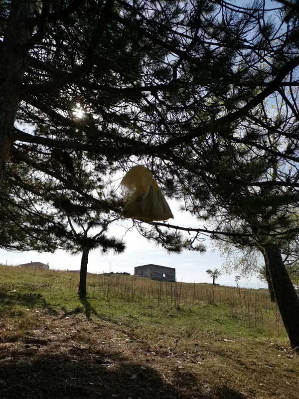 Σιάτιστα: Κρέμασαν σε δέντρο νεογέννητα κουταβάκια σε σακούλα