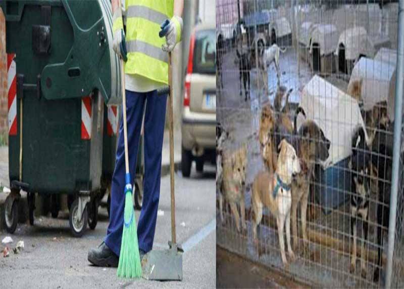 Οχτώ προσλήψεις στο τμήμα της καθαριότητας για δύο μήνες – Ετοιμάζεται καταφύγιο αδέσποτων ζώων στα Κοίλα