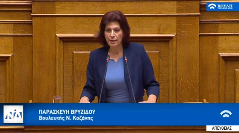 Ομιλία της Παρασκευής Βρυζίδου Βουλευτή Ν. Κοζάνης στην Ολομέλεια της Βουλής των Ελλήνων για το Νομοσχέδιο: “Ρυθμίσεις θεμάτων του Υπουργείου Εθνικής Άμυνας” στις 13/12/2019