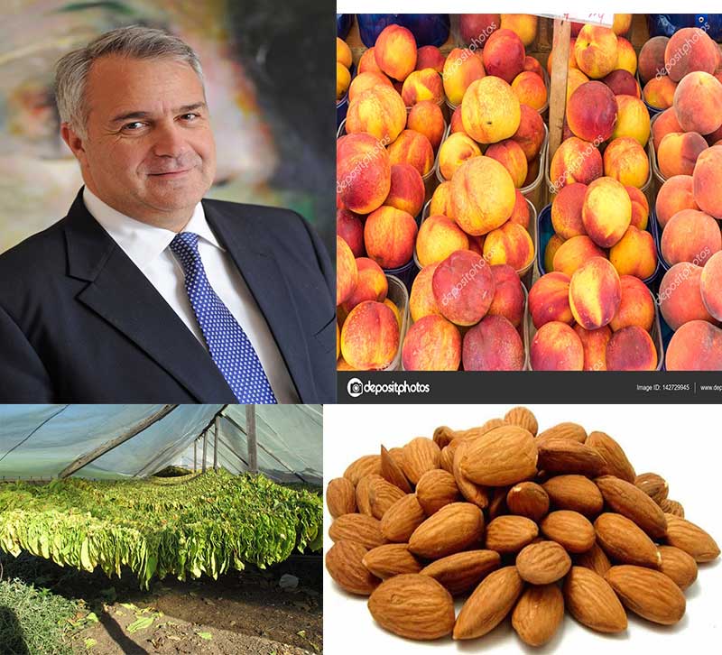 Ενισχύσεις de minimis ύψους 19.255.000 ευρώ σε ροδάκινα, νεκταρίνια, αμύγδαλα και καπνό από τον ΥπΑΑΤ, Μ. Βορίδη