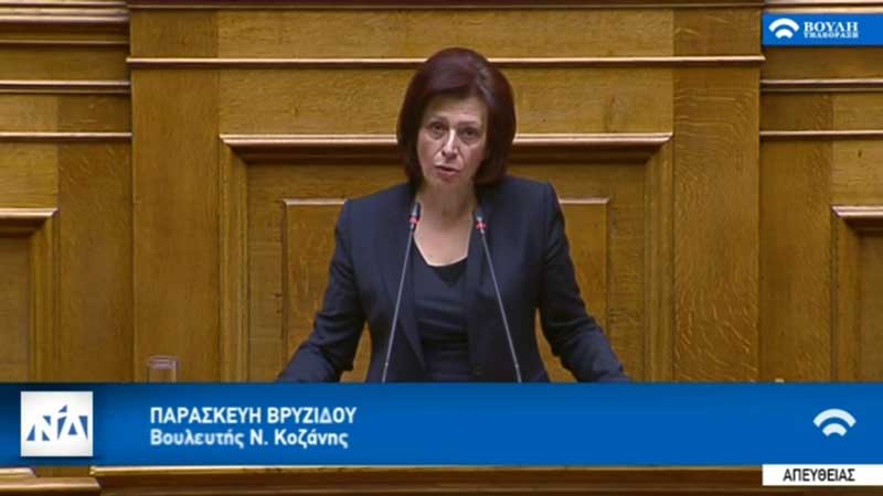 Ομιλία της Παρασκευής Βρυζίδου Βουλευτή Ν. Κοζάνης στην Ολομέλεια της Βουλής των Ελλήνων