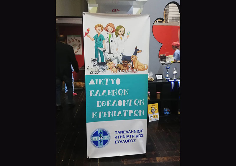 Μαζικές στειρώσεις αδέσποτων ζώων στο Δήμο Κοζάνης