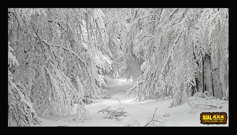 Χιονοβόλτα στο Βίτσι (φωτογραφίες – βίντεο)