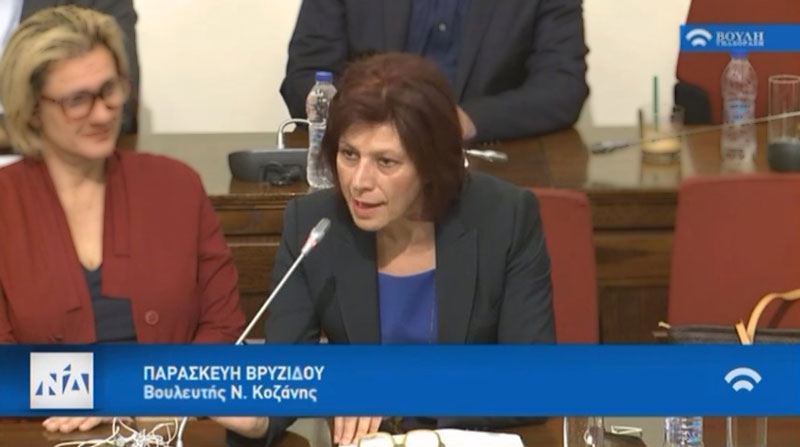 Η Παρασκευή Βρυζίδου προς τον Πρόεδρο του Αστεροσκοπείου Αθηνών για τον κίνδυνο φυσικών καταστροφών στα ορυχεία της ΔΕΗ από πλημμύρες και φωτιά