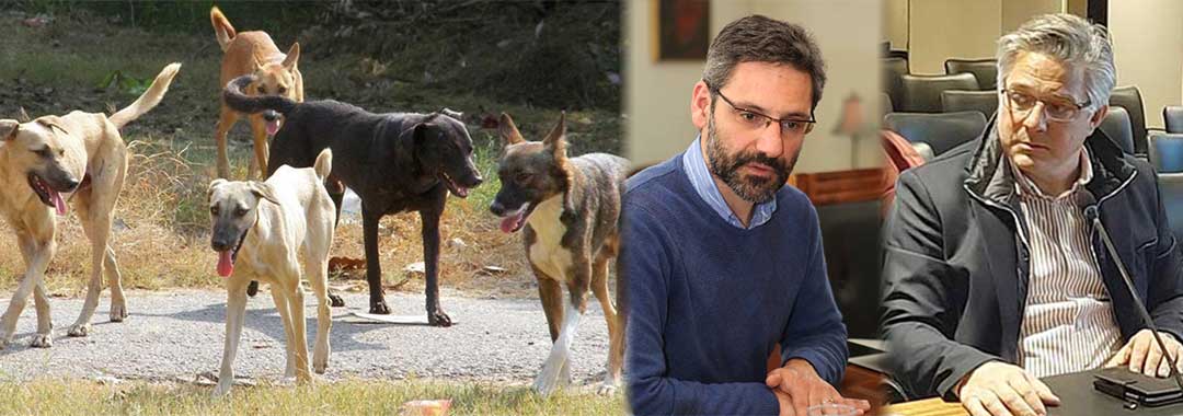 Οι δήμαρχοι της ΠΕΔ Δυτικής Μακεδονίας για τις φιλοζωικές: «Δεν αξίζει να συμμετέχεις στα κοινά όταν πρέπει να είσαι εκτεθειμένος στα διασυρμό οργανωμένων κυκλωμάτων»