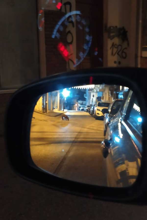 Η κυρα-Μάρω ανηφόρισε τη Μητροπόλεως! (φωτο – βίντεο)