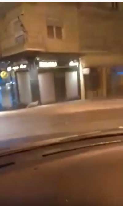 Καστοριά: Η κυρα-Μάρω κόβει βόλτες στην πλατεία Δαβάκη (βίντεο)