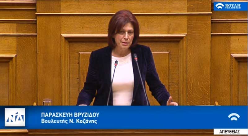 Ομιλία Παρασκευής Βρυζίδου Βουλευτή ΝΔ Ν. Κοζάνης στην Ολομέλεια της Βουλής με θέμα: «Εκλογή Βουλευτών»