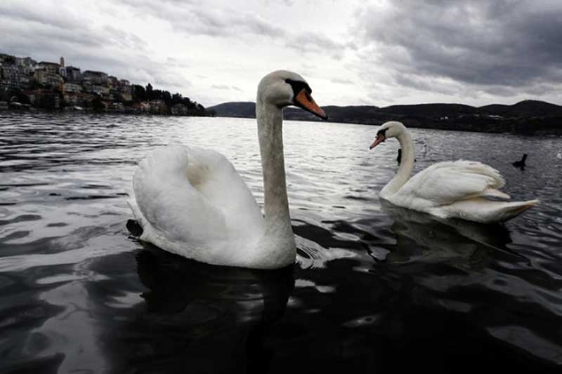 Φωτογράφος του πρακτορείου Sooc καταγράφει την ομορφιά της λίμνης της Καστοριάς (Φώτο)
