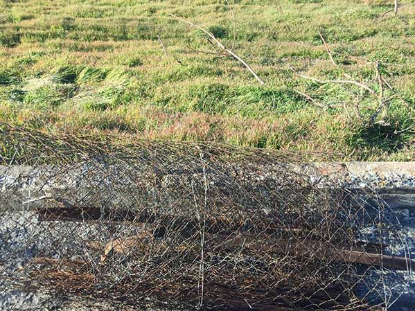 Κόπηκαν τα συρματοπλέγματα στο Δενδροκομικό Σταθμό των Σερβίων
