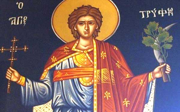 Οι καλλιεργητές της γης και οι κτηνοτρόφοι της περιοχής μας (της λεκάνης Αλιάκμονα-Πολυφύτου) τίμησαν τον άγιο Τρύφωνα