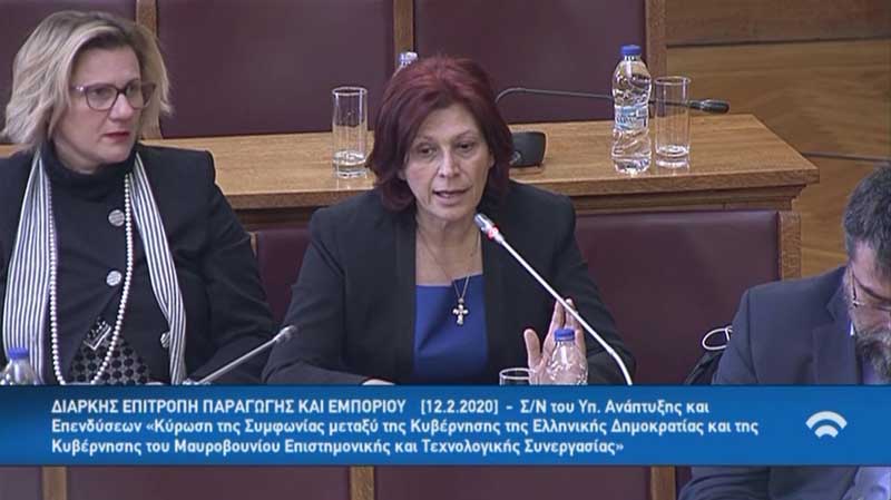 Ομιλία της Παρασκευής Βρυζίδου Βουλευτή Ν. Κοζάνης της ΝΔ στη Διαρκή Επιτροπή Παραγωγής & Εμπορίου