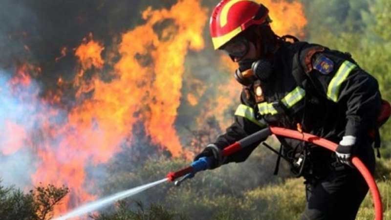 Μεγάλη πυρκαγιά στους Φιλιππαίους Γρεβενών