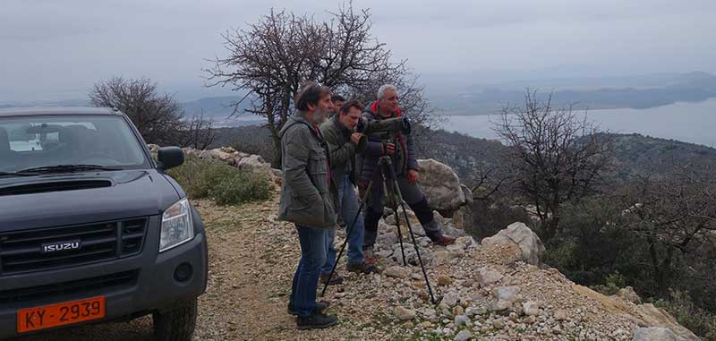 Αποκεντρωμένη Διοίκηση Ηπείρου – Δ. Μακεδονίας: Απογραφή του πληθυσμού των όρνιων στη Δυτική Ελλάδα από ειδικούς επιστήμονες