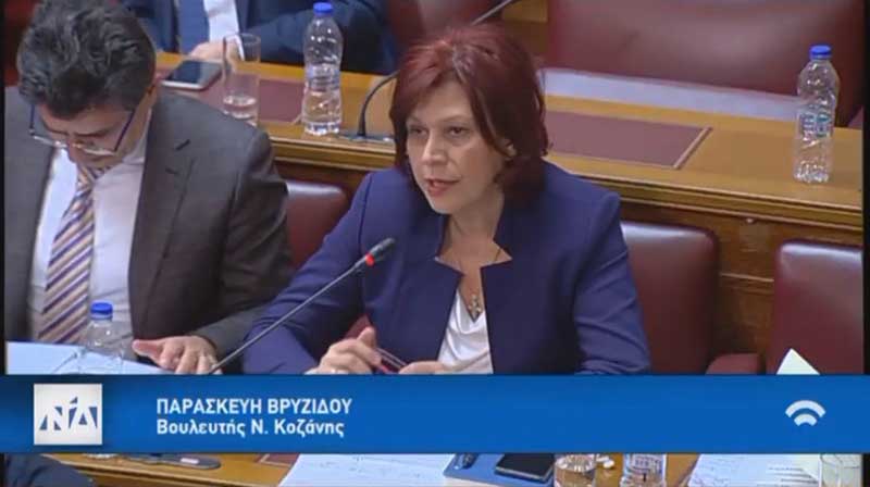 Ομιλία Π. Βρυζίδου για το νέο Ασφαλιστικό στη Διαρκή Επιτροπή Κοινωνικών Υποθέσεων και τη Διαρκή Επιτροπή Οικονομικών Υποθέσεων