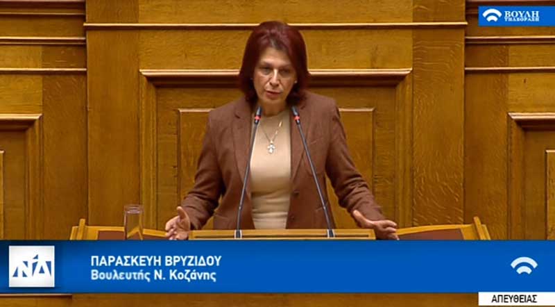 Ομιλία Παρασκευής Βρυζίδου στη Βουλή για Ασφαλιστική μεταρρύθμιση και e-Ε.Φ.Κ.Α.