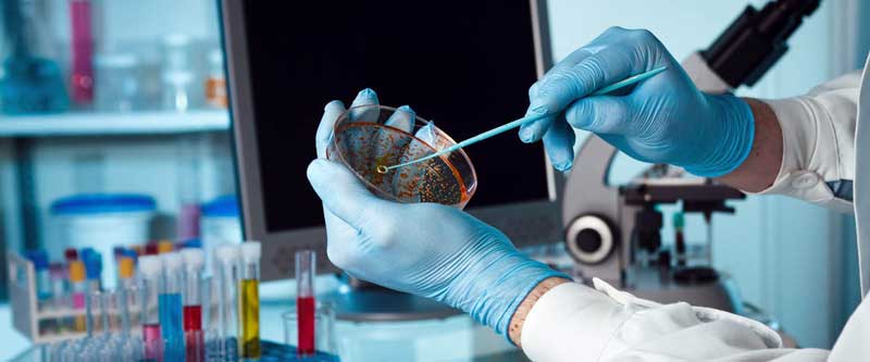 Ημερήσια αναφορά για COVID-19 στα 5 νοσοκομεία της Δ. Μακεδονίας