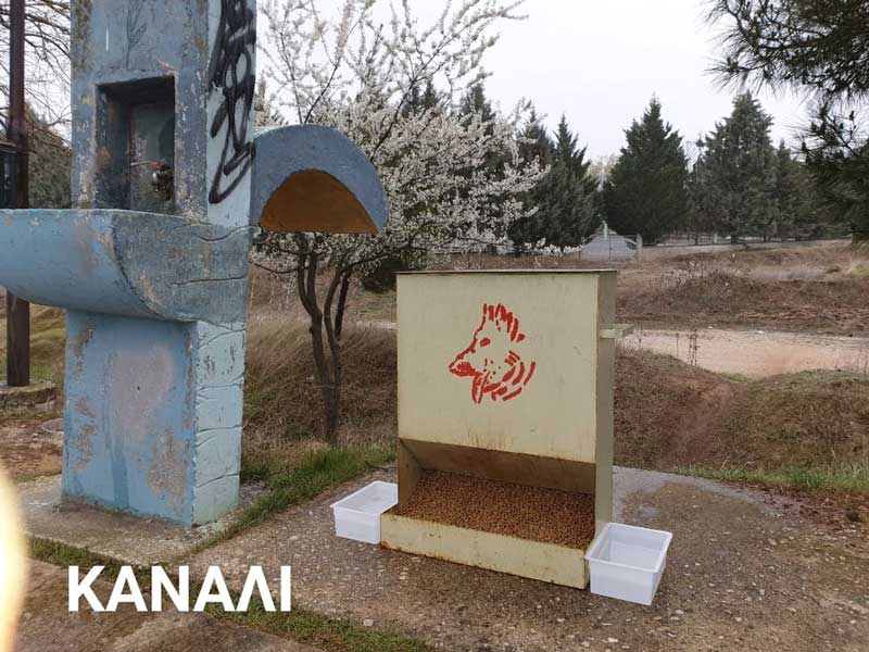 Ταΐστρες και ποτίστρες τοποθέτησε ο Δήμος Εορδαίας για τα αδέσποτα