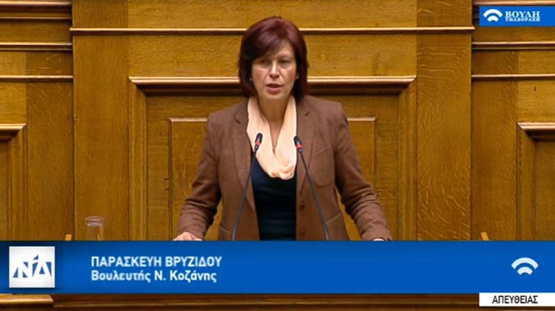 Η Παρασκευή Βρυζίδου Βουλευτή Ν. Κοζάνης ΝΔ για την κρίση στα σύνορά μας