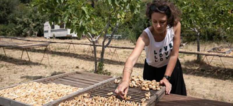 Δωρεά παραγωγικού εξοπλισμού 10.000 ευρώ σε επιχειρήσεις και συνεταιρισμούς από την Αποστολή