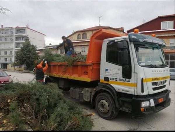 Εργασίες απομάκρυνσης των επικίνδυνων κλαδιών από δένδρα, που έσπασαν από την χιονόπτωση, ξεκίνησε ο Δήμος Εορδαίας