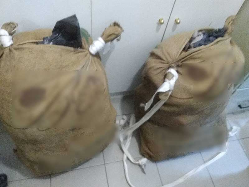Εντοπίστηκαν σε περιοχή της Φλώρινας 26 κιλά και 714 γραμμάρια ακατέργαστης κάνναβης