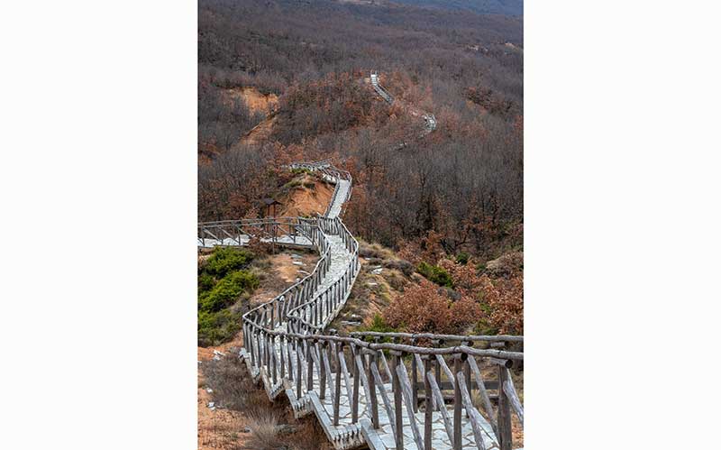 Μπουχάρια, Μικρόβαλτο Κοζάνης (του Αργύρη Καραμούζα)