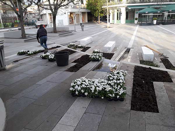 Η πλατεία της Κοζάνης γεμίζει λουλούδια