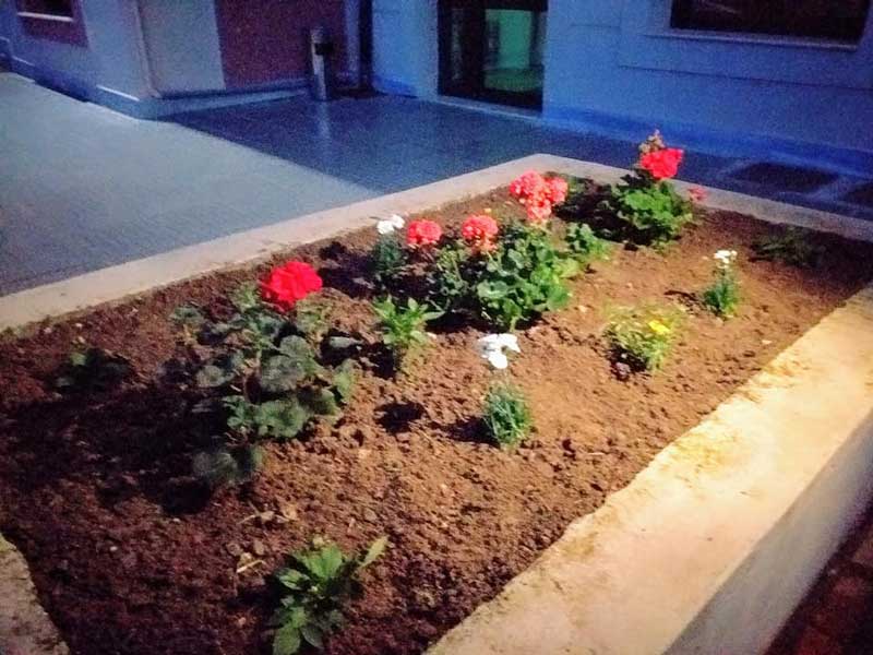 Λουλούδια τοποθετήθηκαν στο Πολιτιστικό Κέντρο Σερβίων