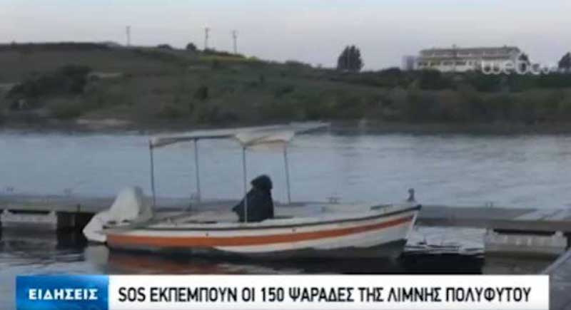 Κοζάνη: SOS εκπέμπουν οι επαγγελματίες ψαράδες της λίμνης Πολυφύτου