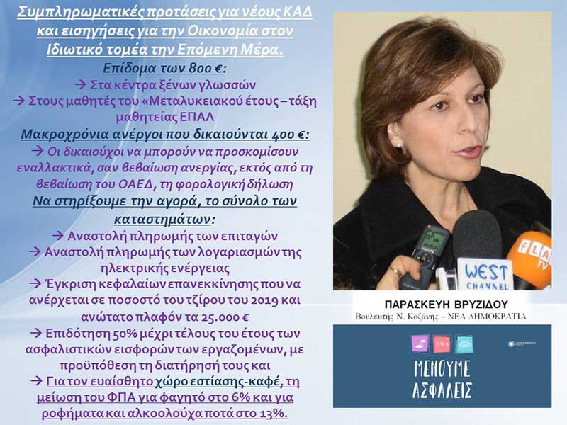 Π. Βρυζίδου: Συμπληρωματικές προτάσεις για νέους ΚΑΔ και εισηγήσεις για την Οικονομία στον Ιδιωτικό τομέα την Επόμενη Μέρα