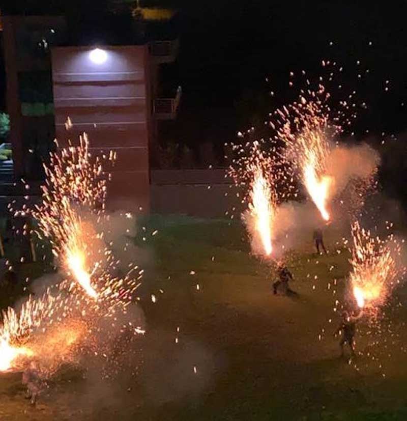 Τα χαλκούνια «έσπασαν» την καραντίνα! (βίντεο)