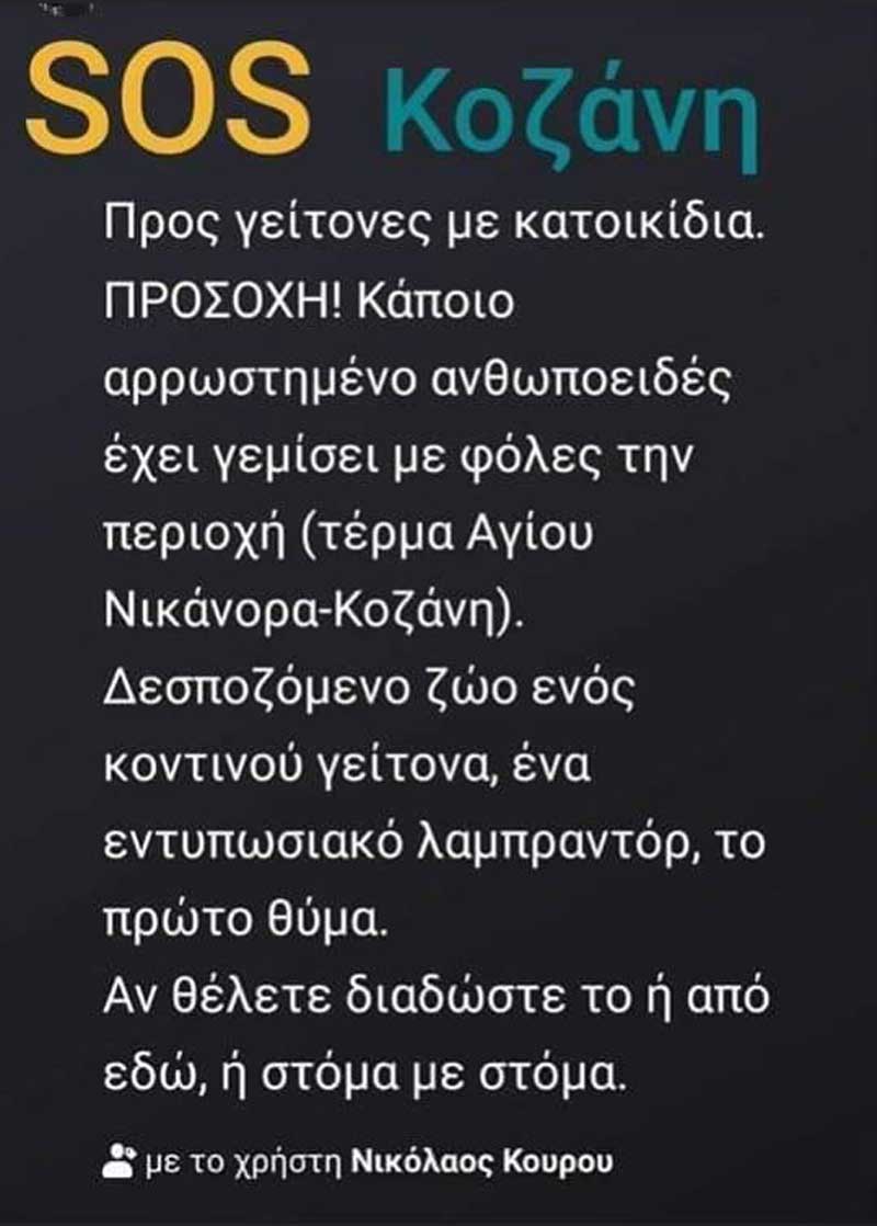 Φόλες στην περιοχή τέρμα Αγίου Νικάνορα -Θύμα ένα λαμπραντόρ