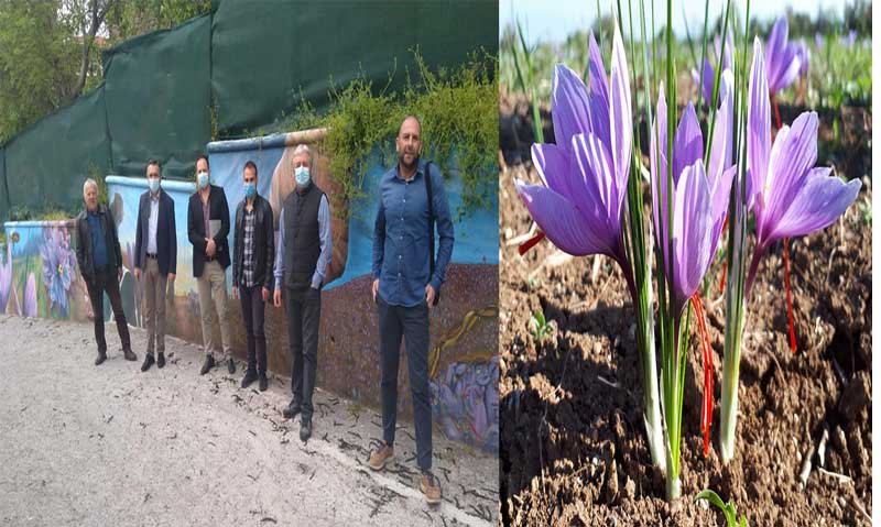 Το κτίριο επεξεργασίας κρόκου κατάλληλο για έρευνα -αξιοποίηση των αρωματικών φυτών και ανάπτυξης  ιατροφαρμακευτικών εφαρμογών