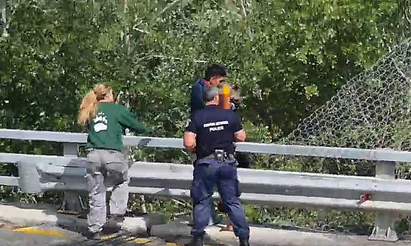 Διάσωση μικρής αρκούδας στην Εγνατία Οδό