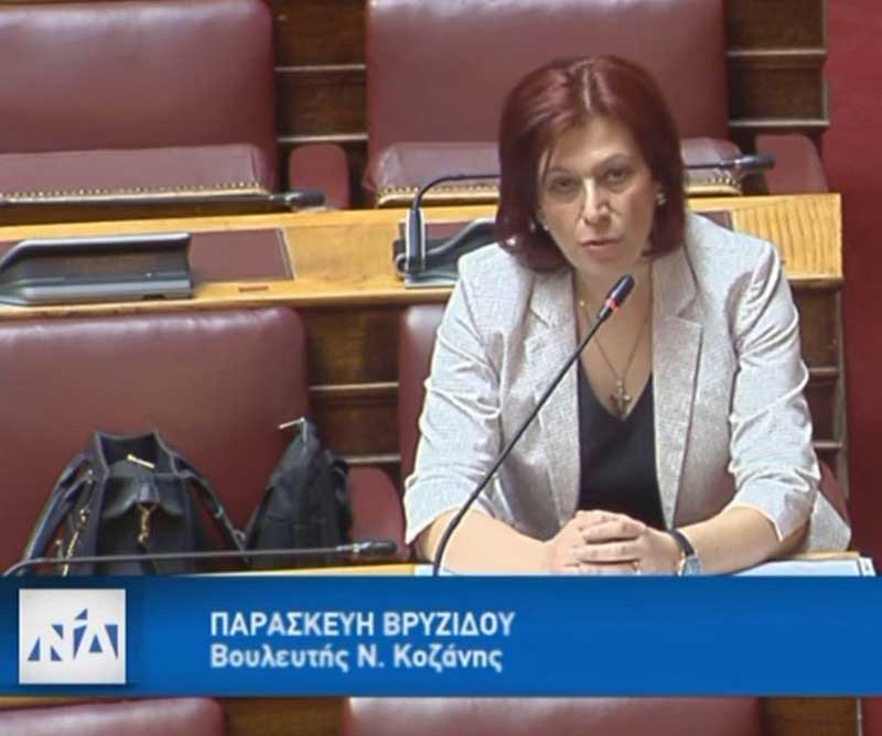 Ομιλία Παρασκευής Βρυζίδου στην Διαρκή Επιτροπή Κοινωνικών Υποθέσεων της Βουλής, στις 25.05.2020