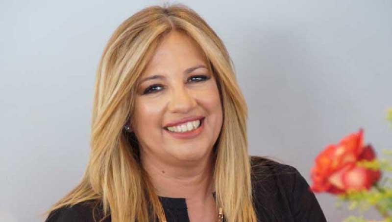 Δυτική Μακεδονία: Τηλεδιάσκεψη της Φώφης Γεννηματά, με το Προεδρείο των εργαζομένων της ΛΑΡΚΟ
