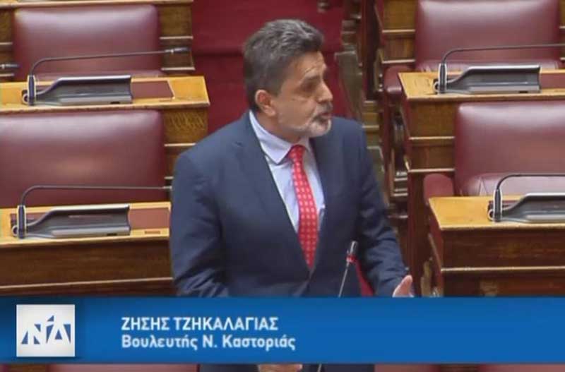 Άμεσα μέτρα αντιμετώπισης των επιθέσεων των αρκούδων στον Νομό Καστοριάς
