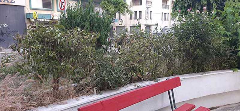 Απεριποίητη η πλατεία Γιολδάση, “πνιγμένη” από χόρτα