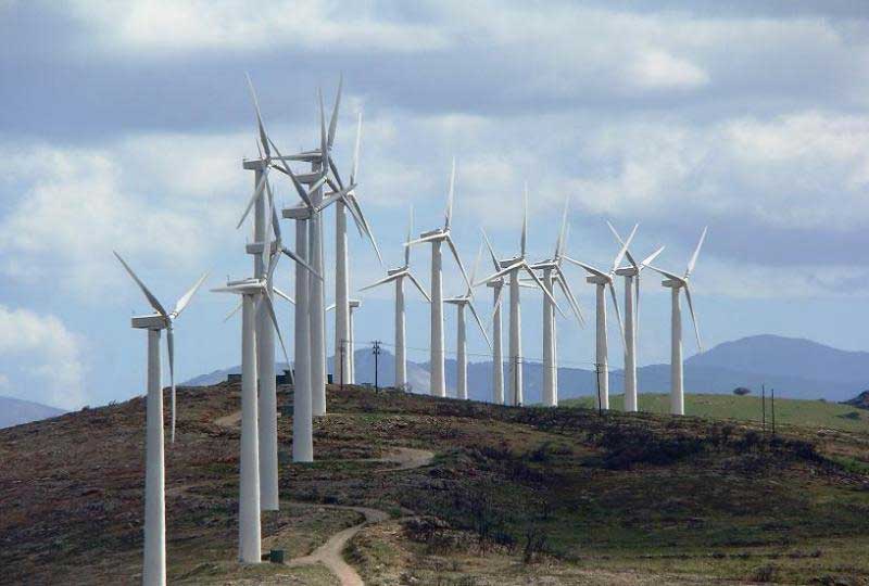Άσκιο: Καταστρέφουν το τσάι. Πρόστιμα από το Δασαρχείο