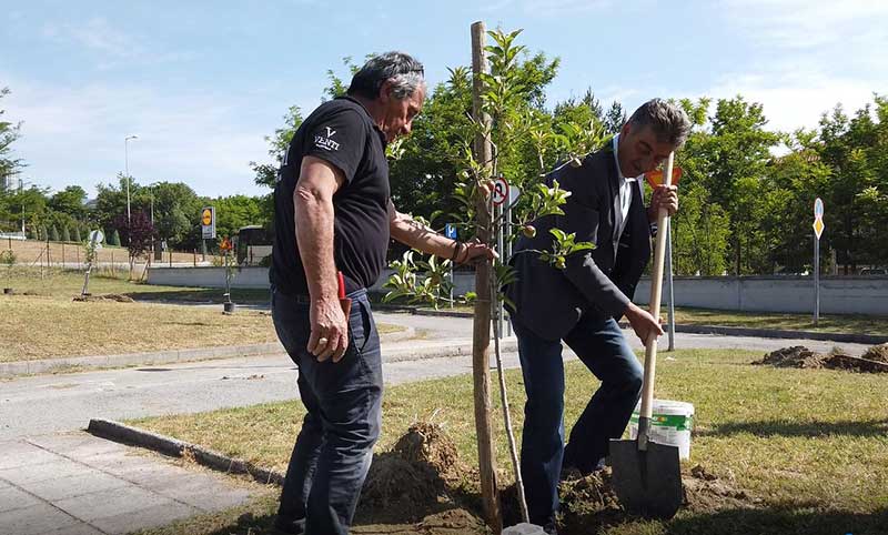 Δημιουργία Δημοτικού Οπωρώνα στο Πλαίσιο της Παγκόσμιας Ημέρας Περιβάλλοντος και Μήνυμα Δημάρχου Γρεβενών κ.Γιώργου Δασταμάνη για Αιολικά στη Βασιλίτσα