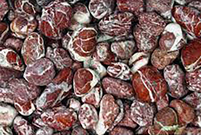 Εορδαία: Αξιοποιείται το κόκκινο βοτσαλάκι της Ερμακιάς