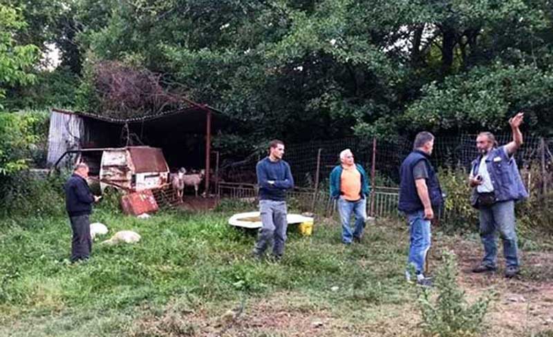 Οικονομική συμπαράσταση για κτηνοτρόφο από το Εμπόριο Εορδαίας λόγω ζημιάς από επίθεση λύκων στο κοπάδι του