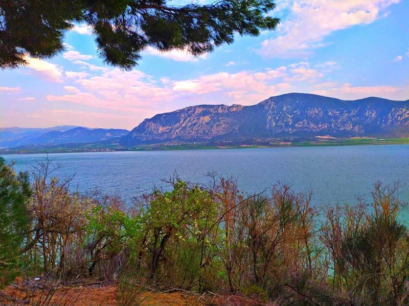 Φωτογραφία της ημέρας: Η λίμνη Πολυφύτου από το άλσος της “Παναγιάς” Καισαρειάς!!!